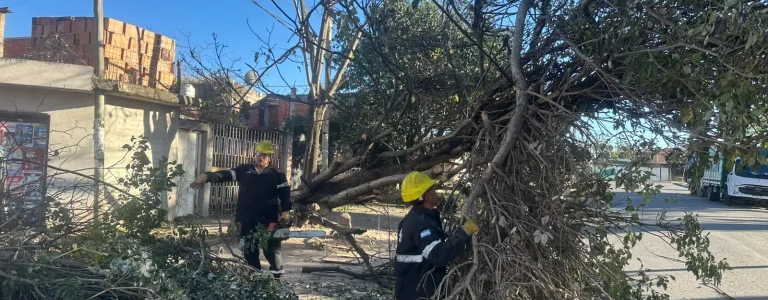 La Municipalidad intervino en 135 incidentes por el viento y el fuego