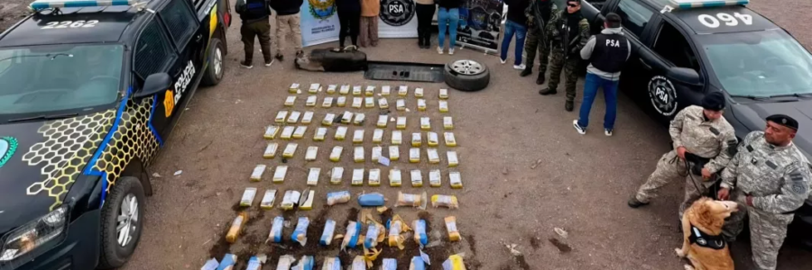 La Policía de Salta desarticuló una organización narcocriminal y secuestró más de 190 kilos de cocaína