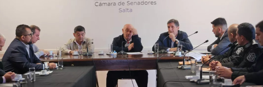 Senadores se interiorizaron sobre el Plan Estratégico e Integral de Seguridad