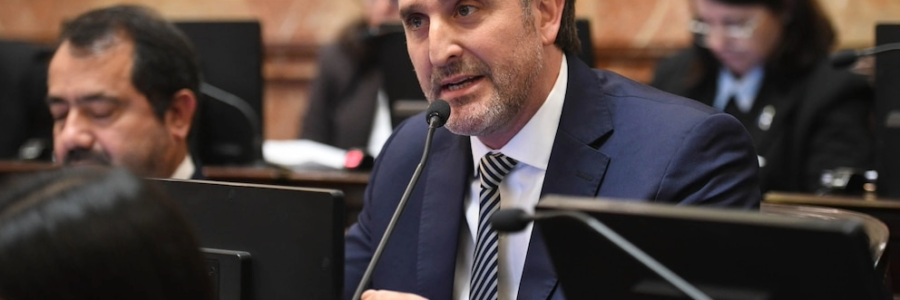 La oposición cuestionó a Benegas Lynch por su empresa para vender campos a extranjeros y el senador libertario se defendió