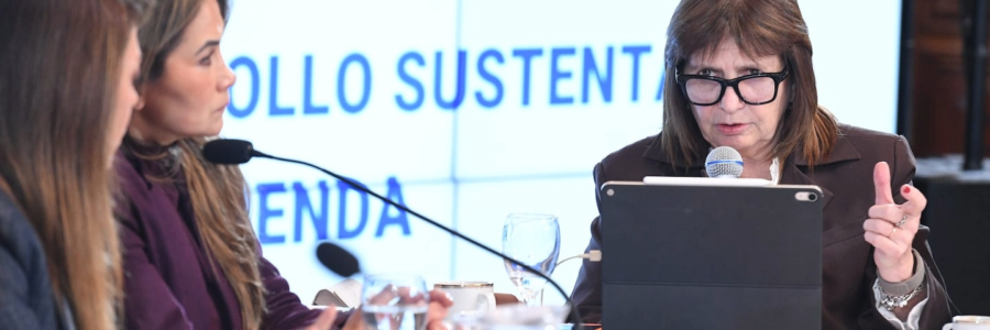 Bullrich impulsa una reforma de la Ley Nacional de Salud Mental y negocia apoyos en el Senado: cuáles son los principales cambios