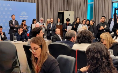 Salta expuso en el Congreso de la Nación la crítica situación de las pensiones por discapacidad