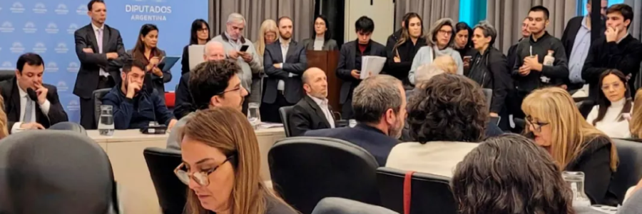 Salta expuso en el Congreso de la Nación la crítica situación de las pensiones por discapacidad