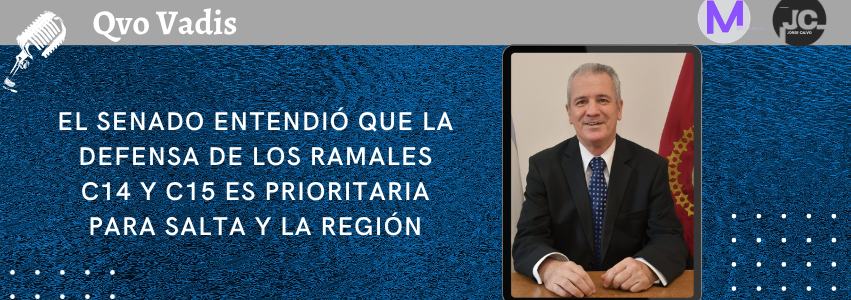 MANUEL PAILLER – SENADOR PROVINCIAL
