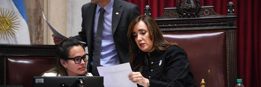 El Senado aprobó la reforma de Salud Mental: las concesiones de Patricia Bullrich para conseguir el apoyo de los aliados