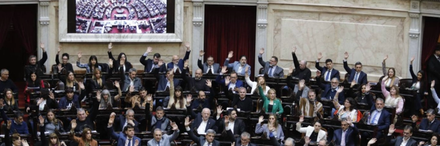 La oposición convocó a una sesión especial para rechazar el DNU de la Ley de Tierras y tratar morosidad y Discapacidad