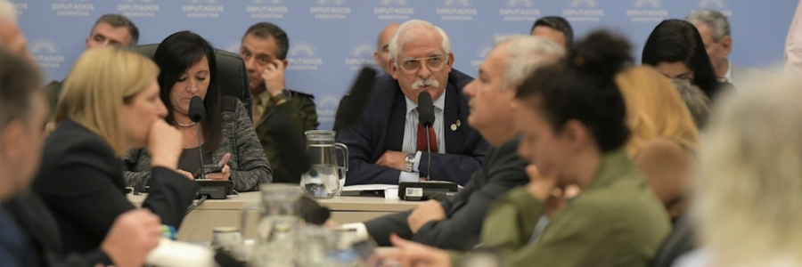 Diputados retomó el debate sobre Malvinas: la oposición pide tratar algunos puntos por separado para apoyar