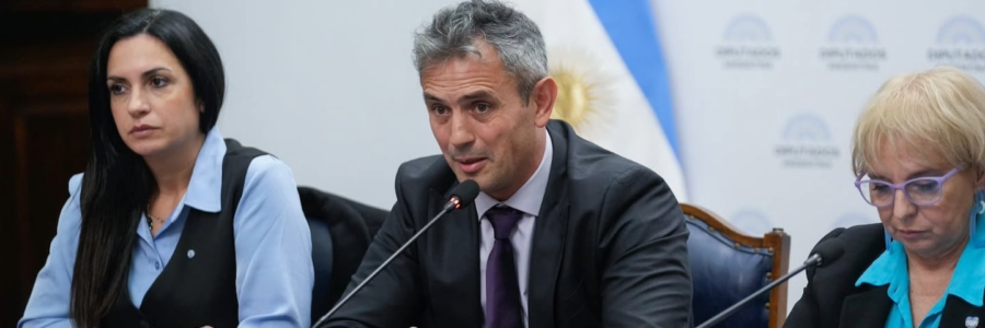 LLA convocó a tratar el proyecto de Propiedad Privada y busca reincorporar límites a la venta de tierras a extranjeros