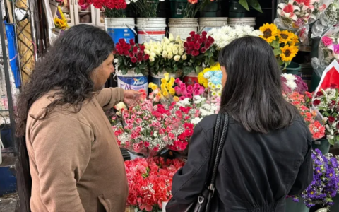 “Más gente entra y hace compras”: renovaron la Esquina de las Flores