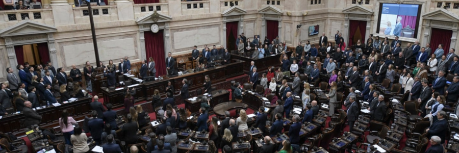 Discapacidad, endeudamiento familiar y Malvinas: el Gobierno buscará avanzar este miércoles con su agenda legislativa