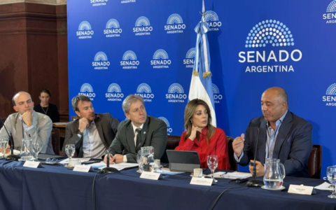 Salta presentó en el Senado de la Nación una propuesta complementaria al régimen de coparticipación