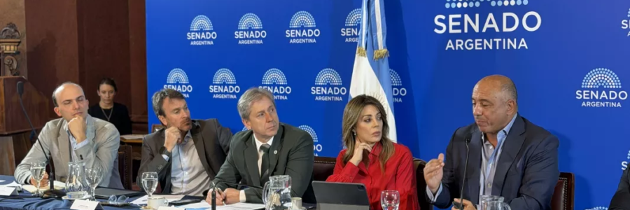 Salta presentó en el Senado de la Nación una propuesta complementaria al régimen de coparticipación