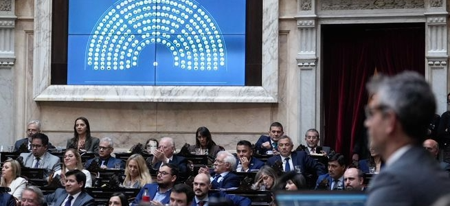 Holgada aprobación en Diputados a un proyecto para fondos en discapacidad